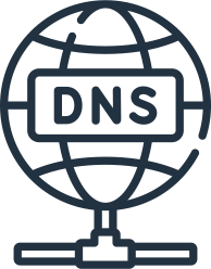 בדיקת DNS
